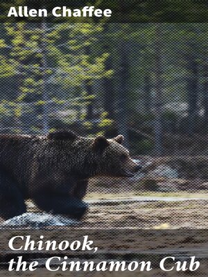 cover image of Chinook, the Cinnamon Cub